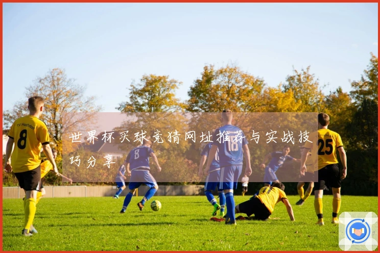 世界杯买球竞猜网址推荐与实战技巧分享