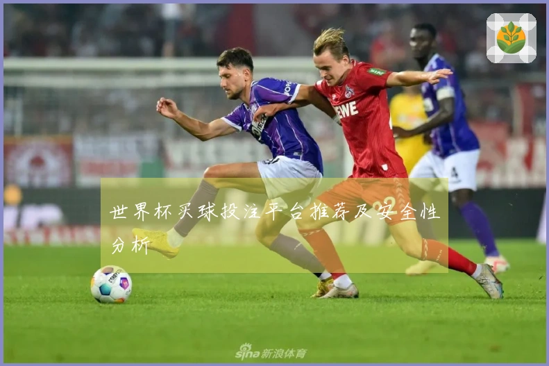 世界杯买球投注平台推荐及安全性分析