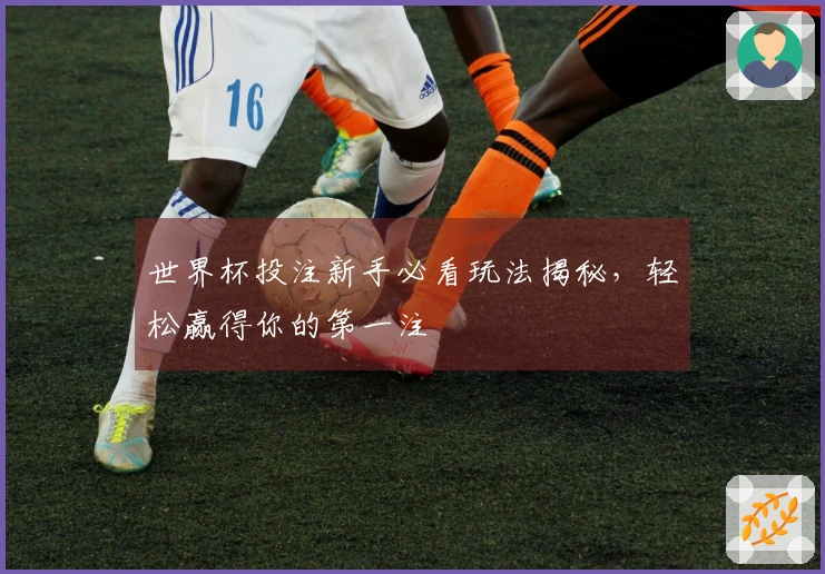 世界杯投注新手必看玩法揭秘，轻松赢得你的第一注