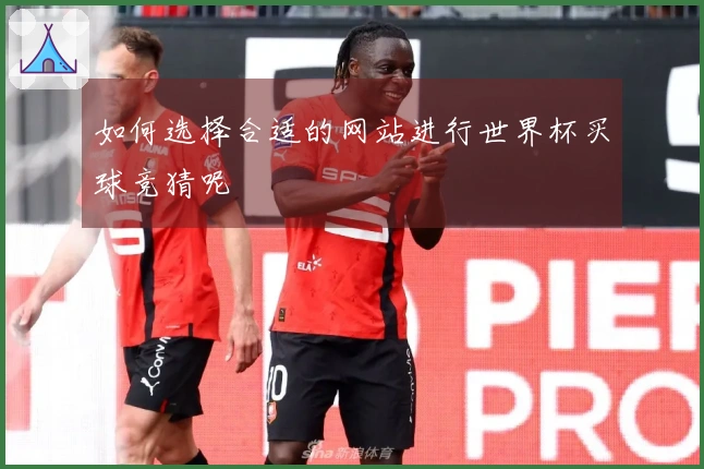 如何选择合适的网站进行世界杯买球竞猜呢