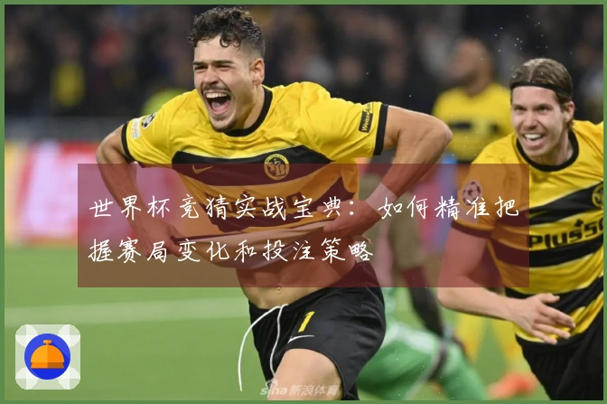 世界杯竞猜实战宝典：如何精准把握赛局变化和投注策略