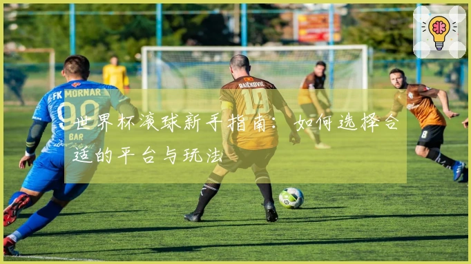 世界杯滚球新手指南：如何选择合适的平台与玩法