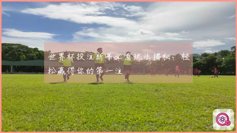 世界杯投注新手必看玩法揭秘，轻松赢得你的第一注