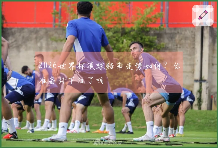 2026世界杯滚球赔率走势如何？你准备好下注了吗