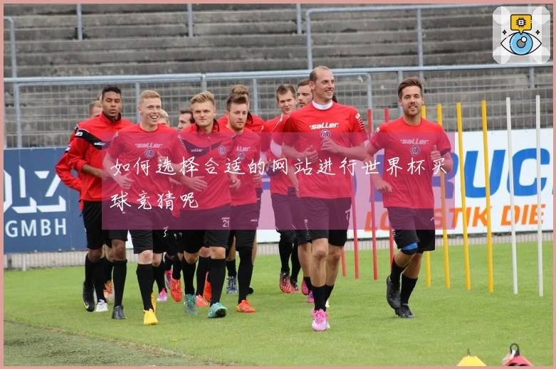 如何选择合适的网站进行世界杯买球竞猜呢