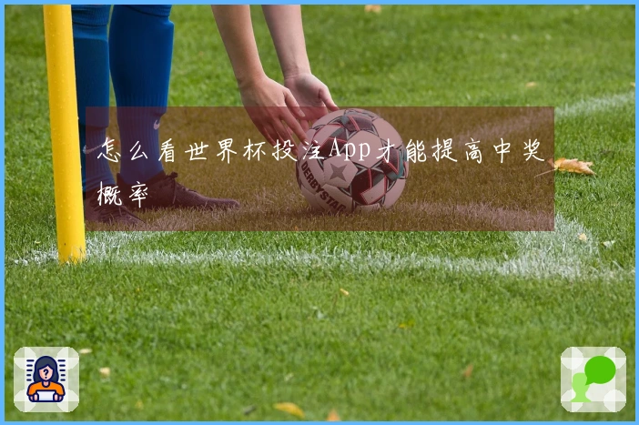 怎么看世界杯投注App才能提高中奖概率