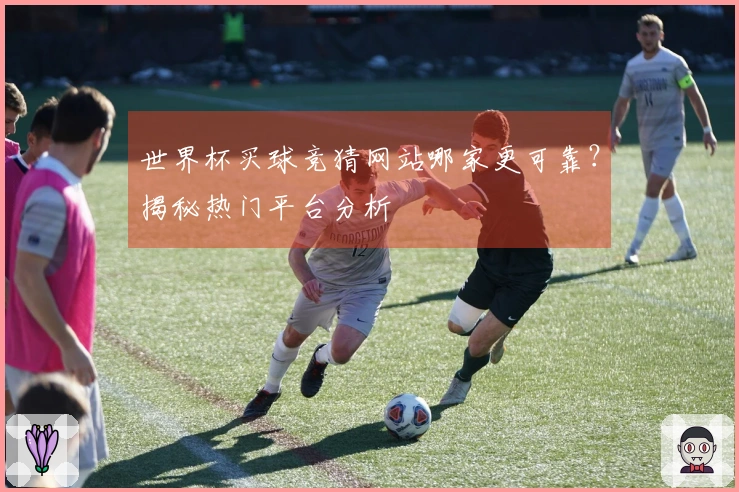 世界杯买球竞猜网站哪家更可靠？揭秘热门平台分析