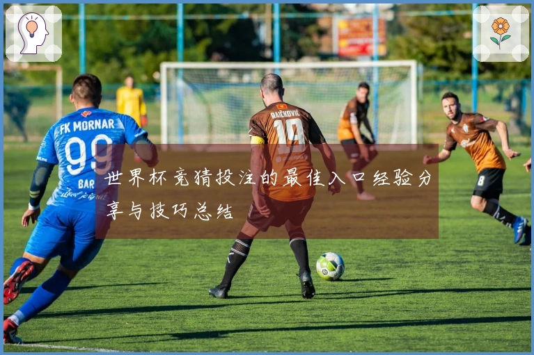 世界杯竞猜投注的最佳入口经验分享与技巧总结