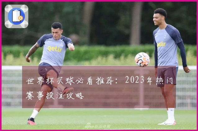 世界杯买球必看推荐：2023年热门赛事投注攻略