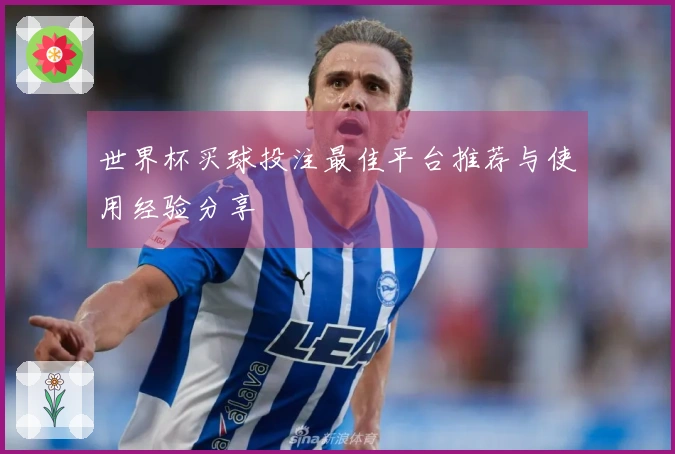 世界杯买球投注最佳平台推荐与使用经验分享