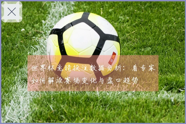 世界杯竞猜投注数据分析：看专家如何解读赛场变化与盘口趋势