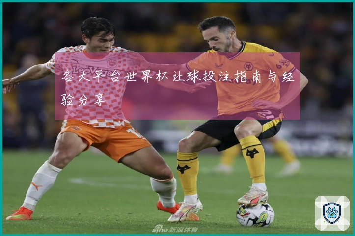 各大平台世界杯让球投注指南与经验分享