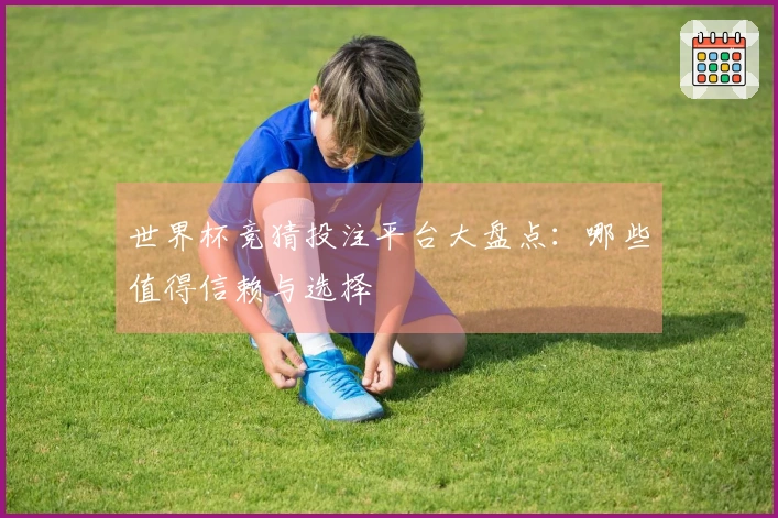 世界杯竞猜投注平台大盘点：哪些值得信赖与选择