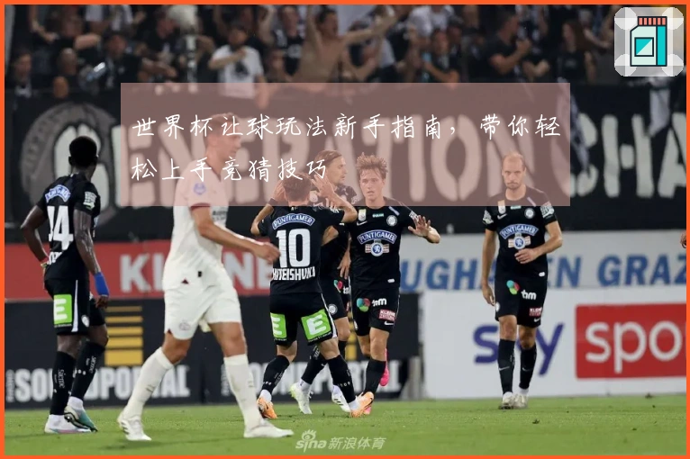 世界杯让球玩法新手指南，带你轻松上手竞猜技巧