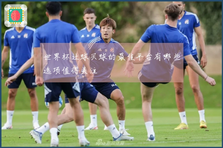 世界杯让球买球的最佳平台有哪些选项值得关注