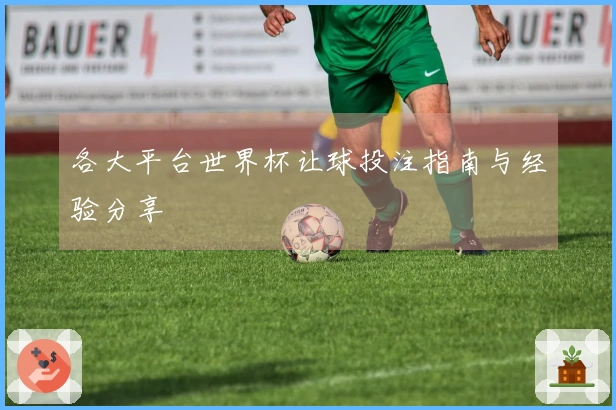 各大平台世界杯让球投注指南与经验分享