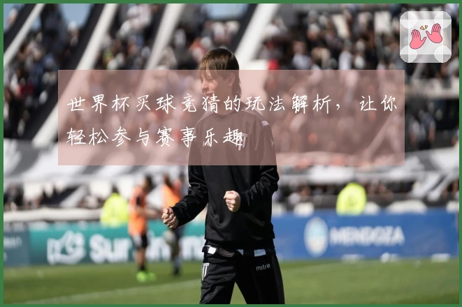 世界杯买球竞猜的玩法解析，让你轻松参与赛事乐趣