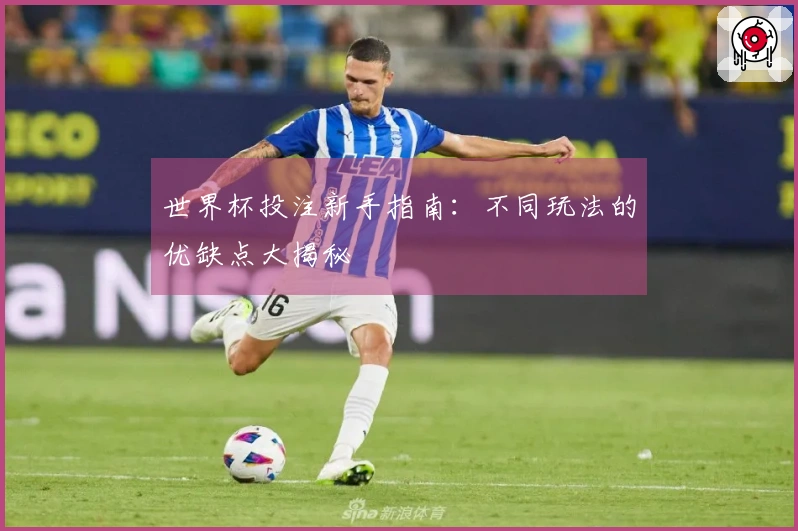 世界杯投注新手指南：不同玩法的优缺点大揭秘